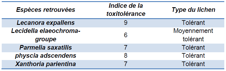 Carrée C : Le tableau ci-dessous indique que au niveau du carré C, les espèces des lichens tolérants sont plus abondants (80%) que les moyennement tolérants (20%). Tab.3.