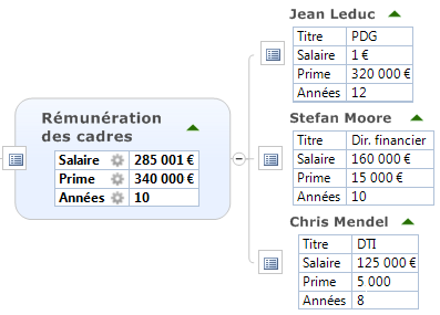 Mindjet 11 pour Windows - Guide d utilisation Exemple de calcul automatique Dans le sujet Rémunération des cadres, les propriétés Salaire, Prime et Années sont calculées.