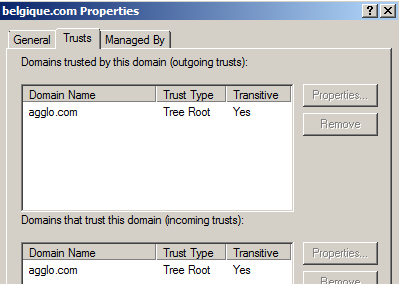1.2.4 Vérifications Pour visualiser et vérifier que la relation d arborescence a bien été créée : Ouvrez la console Active Directory Domains and Trusts Clic droit sur le domaine racine > Properties >