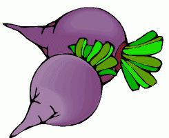 HARICOTS (Famille des haricots) POIS (Famille des haricots) Pour semer : 9 haricots par Divisez le carré en 9 petits carrés, et puis semez un haricot dans chacun d'eux. Compagnons : Carottes ou radis.