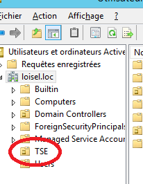 Après un clic droit sur le domaine, créer une OU, pour l exemple du document «TSE».