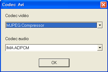 25. VHS to DVD 3.0 Deluxe - AVI Vous pouvez sélectionner le codec approprié pour la compression audio et vidéo.