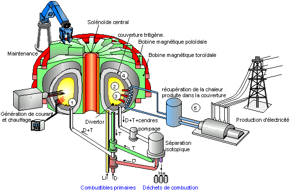 Production d électricité 1: injection des réactifs dans plasma 2: production de cendres (4He) et d énergie (particules chargées et