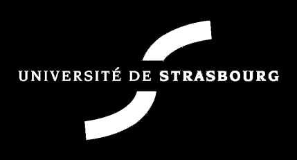 N d ordre : École Doctorale Mathématiques, Sciences de l'information et de l'ingénieur UdS INSA ENGEES THÈSE Présentée pour obtenir le grade de Docteur de l Université de Strasbourg Discipline :