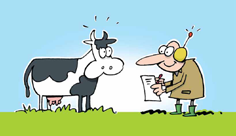 6. Augmenter la durabilité: un meilleur rendement pour plus de satisfaction 1. Santé animale La vache laitière est le principal moyen de production des exploitations laitières.