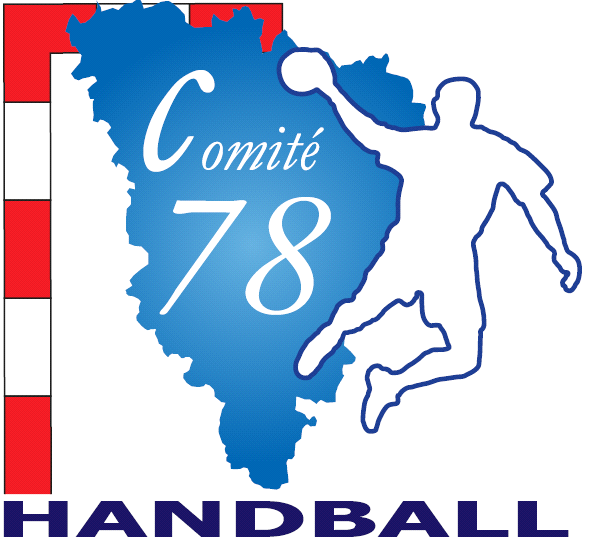 COMITE DEPARTEMENTAL HANDBALL YVELINES Dossier Financier 2015 La