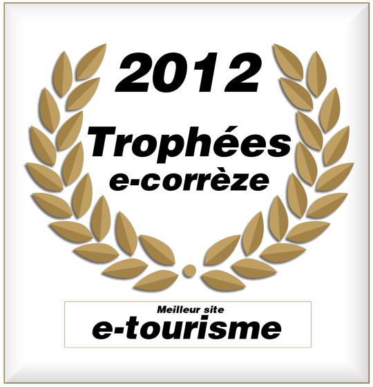 Les Trophées ( 3 catégories ) Trophées du e-commerce Trophées du e-tourisme Trophées du e-entreprise Appel à