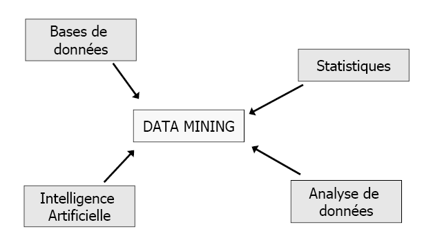 Data Mining (fouille de données) :