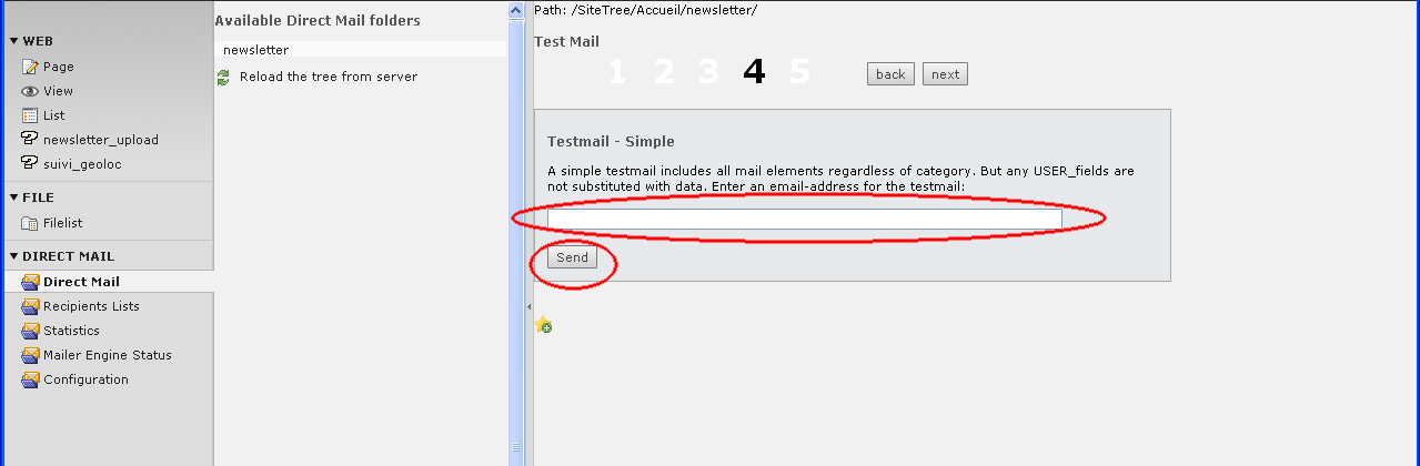 ETAPE 3, ne rien modifier, cliquer directement sur le bouton «Next». ETAPE 4, «Testmail Simple», saisir l'adresse email dans la zone de saisie puis cliquer sur le bouton Send. Arrêter à cette étape.