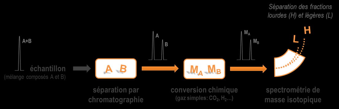 Figure 16 : Principe de l analyse des rapports isotopiques des composés spécifiques (CSIA).