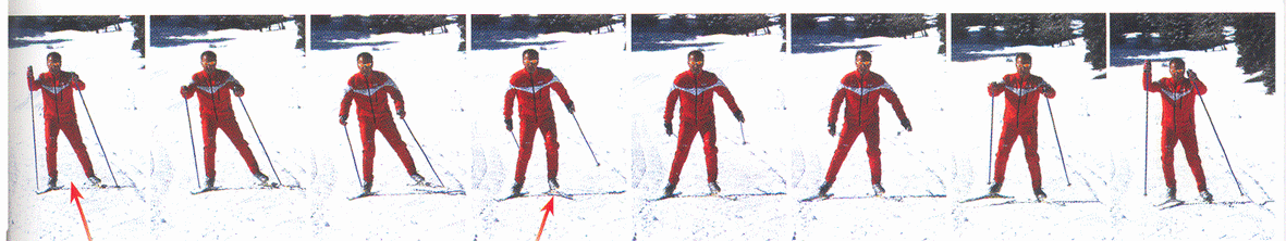 Niveau 5 - Fond Ce que j ai appris en ski de fond : glisser et me propulser Au plat et au plat montant : je me déplace en pas alternatif efficacement.