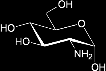 Figure 42 - Structure chimique de la Glucosamine Dans la cellule, la glucosamine est produite à partir du glucose par la voie de l hexosamine, qui nécessite du Fructose-6-phosphate et de la glutamine.