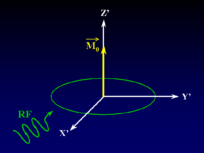 On applique une onde radio B 1 = Onde RadioFréquence (RF, électromagnétique) pour perturber le système de spins Condition de résonance : -B 1 est