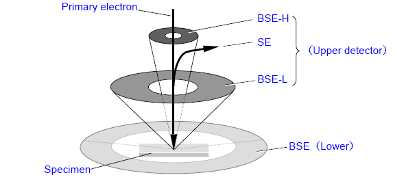 5 - Les détecteurs Différents détecteurs sont présents pour assurer la détection des électrons secondaires (SE) et rétrodiffusés (BSE).