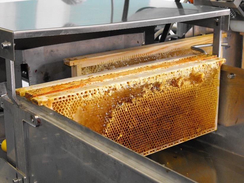 Produits du terroir / Miel 100 % naturel Plus de 80 ruches En collaboration avec l ESAT du Val d Europe Encadrement par des apiculteurs