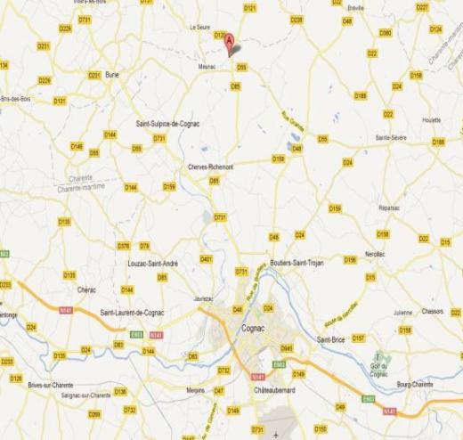La commune de Mesnac est située dans l ouest du département de la Charente, sur la rive droite du fleuve Charente. Elle est limitrophe du département de la Charente-Maritime.