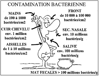 Célie Sturelle transformation à venir (par exemple, les microorganismes du lait pour fabriquer du fromage tel que le Comté) ou pas.