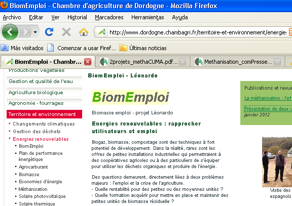 La página web es de muy difícil acceso. Se propone comprar un dominio específico para biomemploi.eu (está libre y cuesta 9 euros año y hosting a 20 euros año).