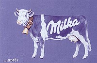 La couleur mauve de la vache vient du fait que dès leur lancement en 1901, les première tablettes de chocolat au lait été emballées dans un packaging de couleur mauve.
