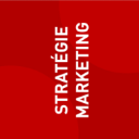 Pratiques marketing 3/4 des PME pratiquant le marketing déclarent mettre en œuvre la différenciation et la segmentation Stratégie marketing Différenciation concurrentielle Q28 L'offre de produits et