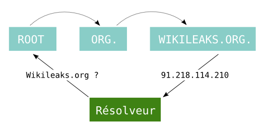 Le DNS : Domain Name System Le navigateur doit d abord résoudre wikileaks.