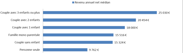 Sans surprise ce sont les cadres (5% des très modestes) qui bénéficient du revenu médian le plus important, en dernière position se trouvent les ouvriers avec 20 266 euros annuels.