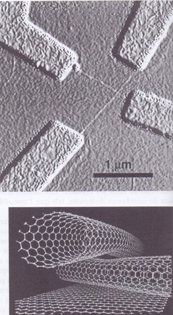 Image au (MFA) d une paire de nanotubes de carbone croisés, contactés par des électrodes en or fabriquées par lithographie électronique avec à gauche
