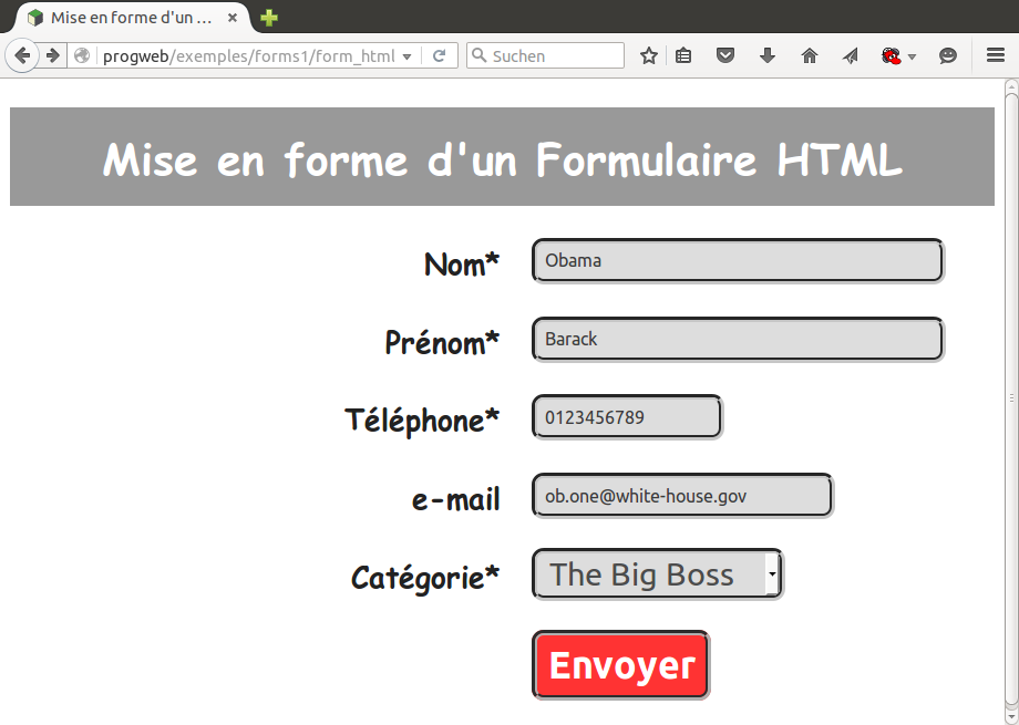Chapitre 5 : Formulaires HTML/PHP exemples/forms1/mystyle.