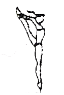 Difficultés Élémentaires Difficultés Moyennes Difficultés Supérieures 7- Pivot (360 ) jambe libre tenue et élevée 7- Pivot (720 ) jambe libre tenue et élevée à la à la verticale avant ou latérale