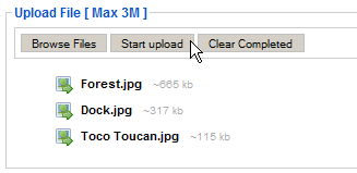 Cliquez sur votre nouveau répertoire pour y insérer vos images. Dans la boîte «Upload File» cliquez sur «Browse Files» qui vous permet de choisir les images présentes sur votre ordinateur 4.