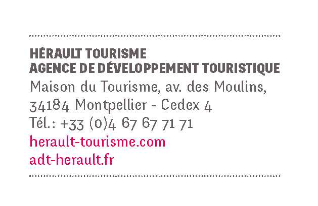 1. Présentation du concept / contexte Depuis 2009, Hérault Tourisme et les Offices de tourisme du département gèrent de façon partagée l information touristique et de Loisirs de l Hérault dans un