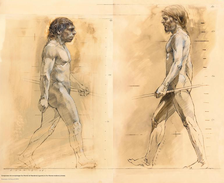 Partie I : Néandertal, un Homme qui nous ressemblait Les Néandertaliens ressemblent beaucoup aux Hommes modernes.