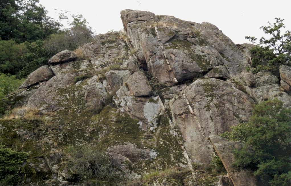 Les roches magmatiques plutoniques continentales Affleurement granitique de la Limagne Définition: roche