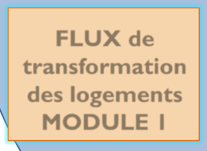 Schéma d ensemble du dispositif DGALG/BIIS-EDF 1 FLUX de transformation des logements MODULE 1 Paramétrage des politiques publiques Quantité et