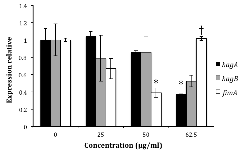 Figure 8 : Effets de concentrations croissantes d EGCG sur l expression des gènes codant pour les facteurs de colonisation HagA, HagB et FimA chez P. gingivalis ATCC 33277.