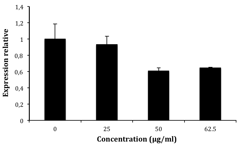 Figure 10 : Effets de concentrations croissantes d EGCG sur l expression du gène codant pour l hémolysine chez P. gingivalis ATCC 33277.