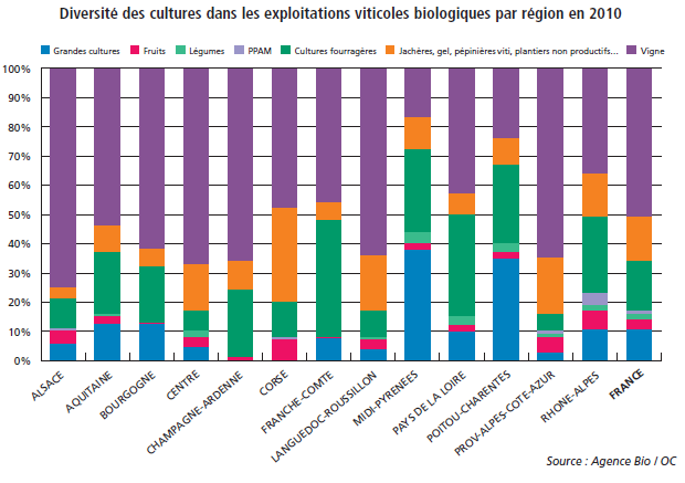 Des exploitations viticoles bio plus ou moins diversifiées selon les régions Taille moyenne du
