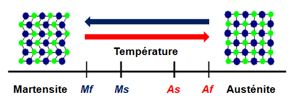 646 Af 708 Ms 180 Phase α (/ C) Martensite 14 x 10-6 Austénite 20 x