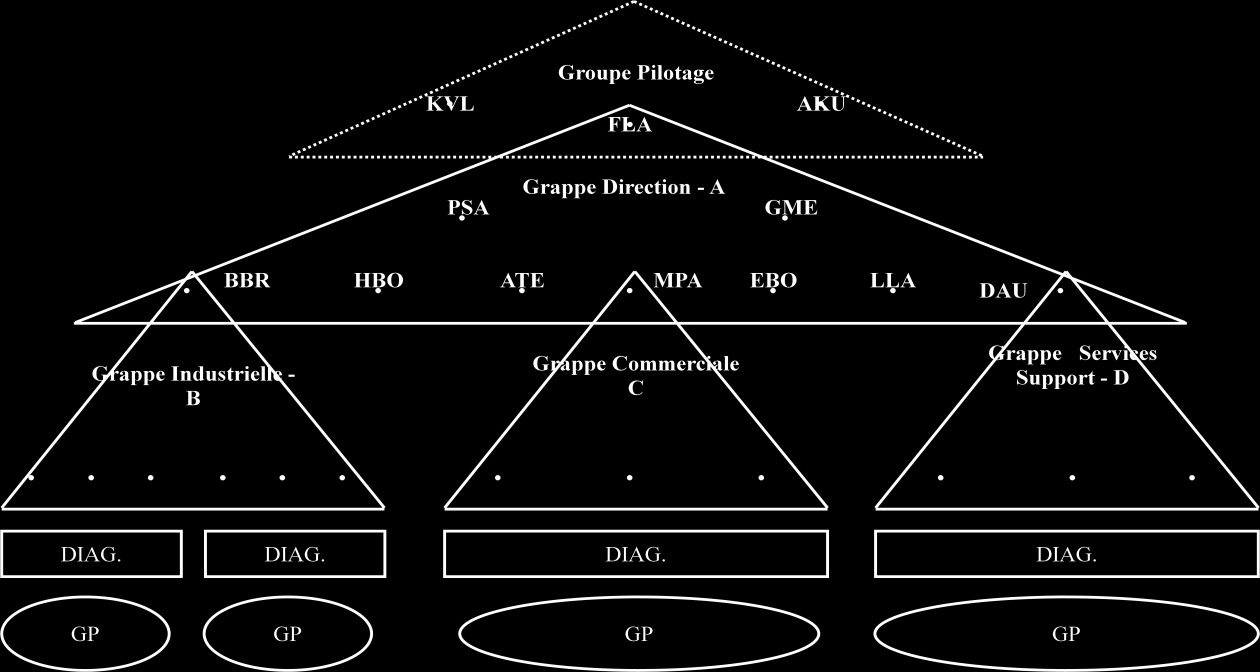 Une démarche dite «HoriVert» articulée à partir de l architecture suivante a été conduite (Figure 1). Les triangles, ou grappes, représentent un périmètre avec son responsable et ses managers.