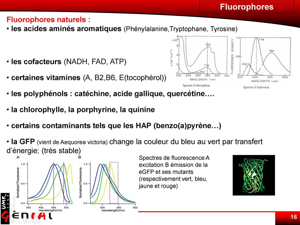 la chlorophylle, la porphyrine, la quinine certains contaminants tels que les HAP (benzo(a)pyrène ) la GFP (vient de Aequorea victoria) change