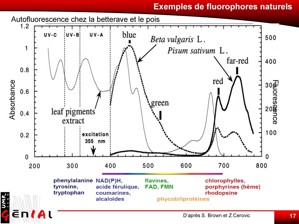 de fluorophores naturels