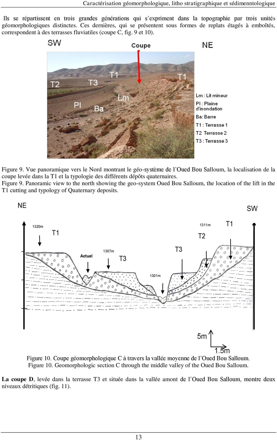 Vue panoramique vers le Nord montrant le géo-système de l Oued Bou Salloum, la localisation de la coupe levée dans la T1 et la typologie des différents dépôts quaternaires. Figure 9.