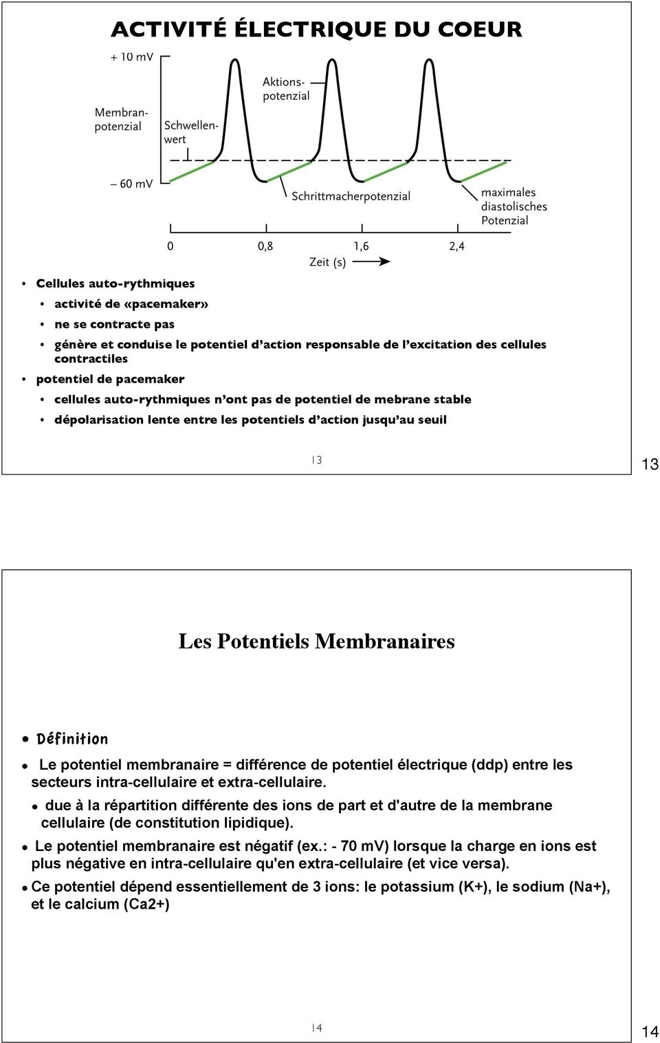 Le potentiel membranaire = différence de potentiel électrique (ddp) entre les secteurs intra-cellulaire et extra-cellulaire.