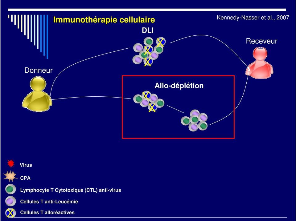Allo-déplétion X X Receveur Virus CPA Lymphocyte T