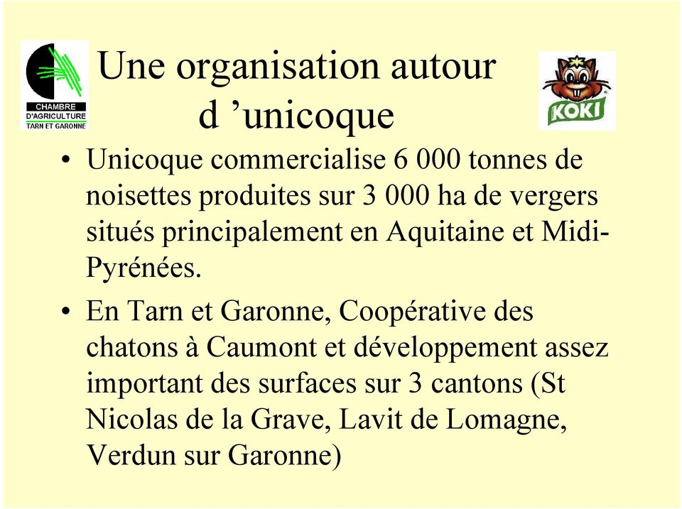 En Tarn et Garonne, Coopérative des chatons à Caumont et développement assez important