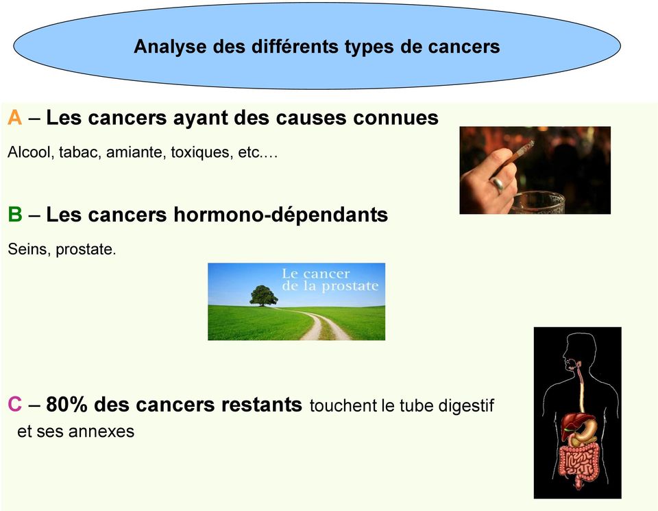 etc. B Les cancers hormono-dépendants Seins, prostate.