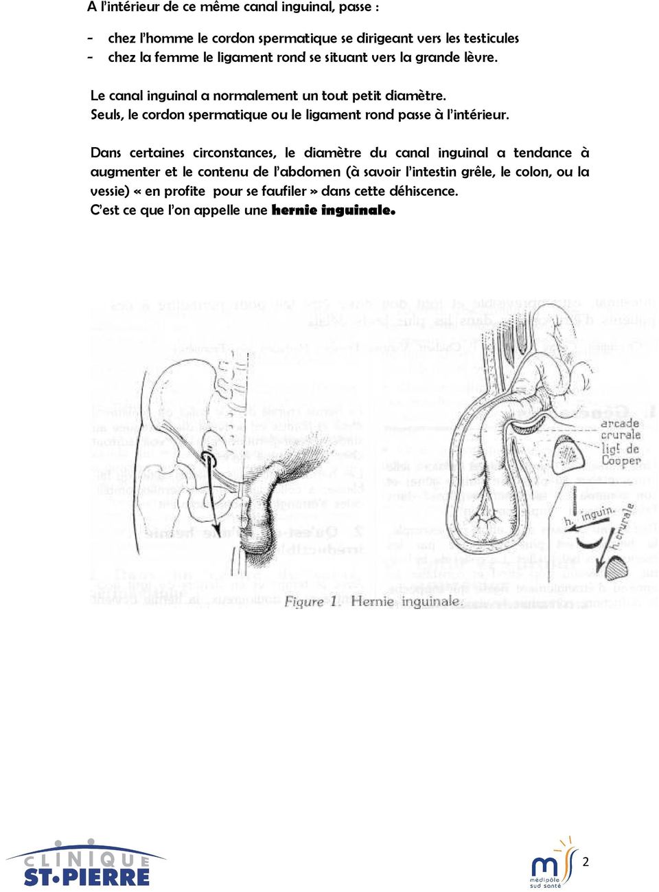 Seuls, le cordon spermatique ou le ligament rond passe à l intérieur.
