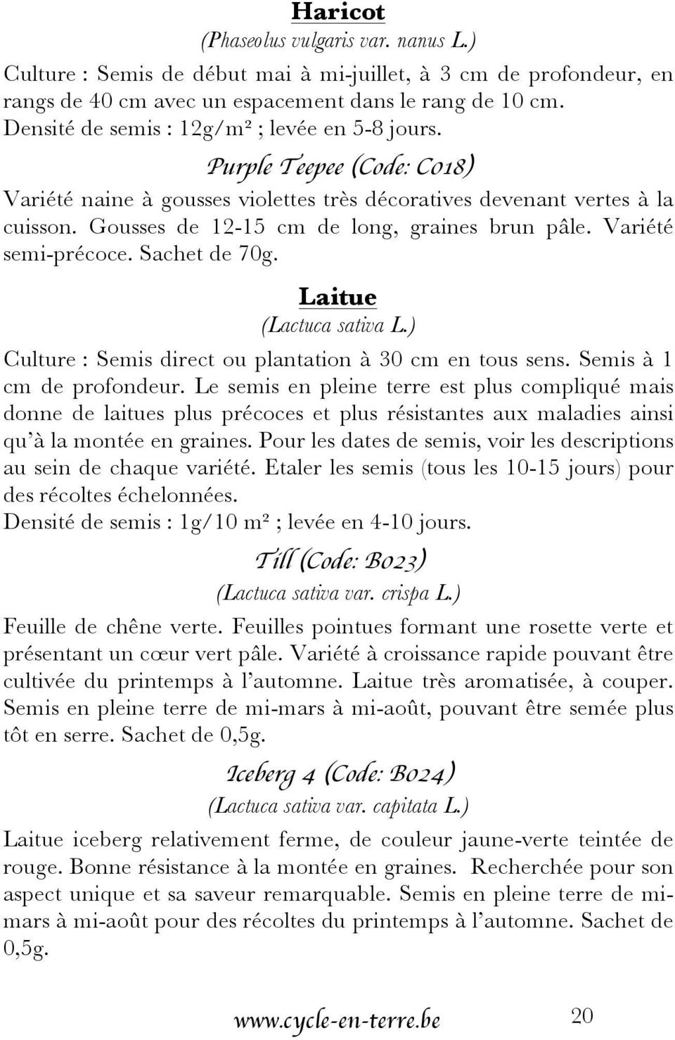 Sachet de 70g. Laitue (Lactuca sativa L.) Culture : Semis direct ou plantation à 30 cm en tous sens. Semis à 1 cm de profondeur.