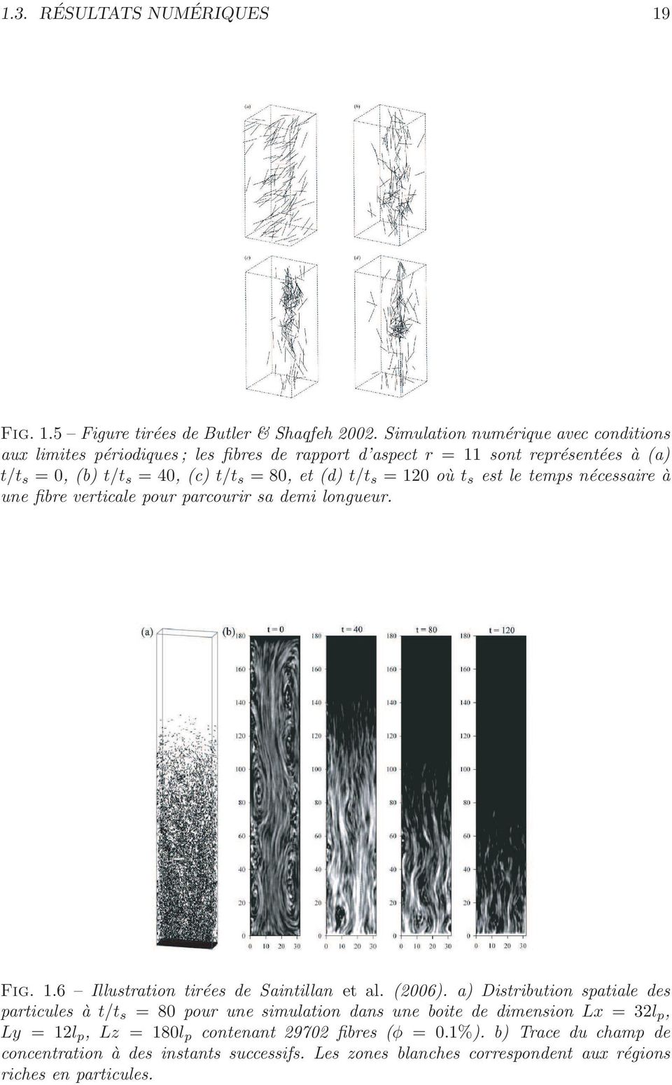 t/t s = 120 où t s est le temps nécessaire à une fibre verticale pour parcourir sa demi longueur. Fig. 1.6 Illustration tirées de Saintillan et al. (2006).
