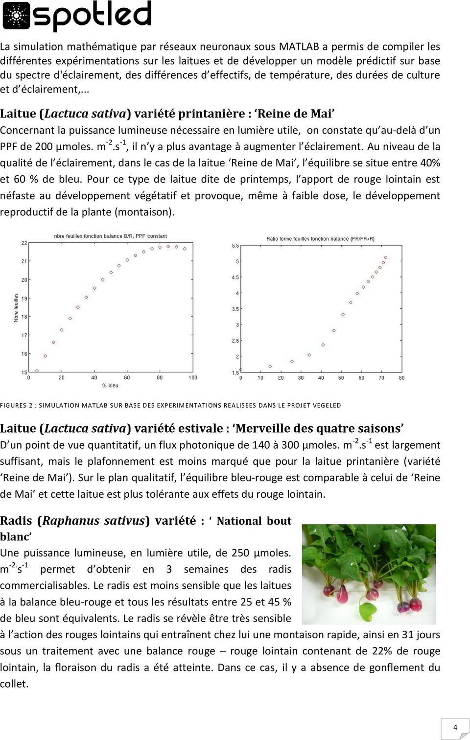 .. Laitue (Lactuca sativa) variété printanière : Reine de Mai Concernant la puissance lumineuse nécessaire en lumière utile, on constate qu au-delà d un PPF de 200 µmoles. m -2.